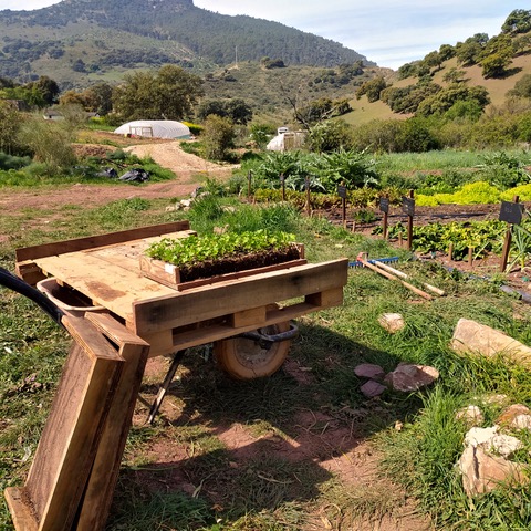 Organic vegetable garden. La Dehesa Biodinámica. Photo © Karethe Linaae